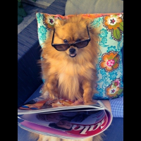Photo de profil de Cooper