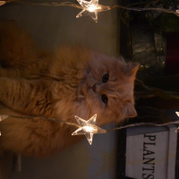 Photo de profil de June