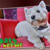 Photo de Kaly