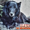 Photo de Louna