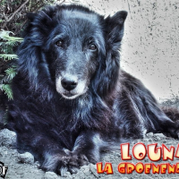 Photo de profil de Louna