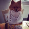 Photo de Poopie