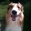 Photo de Happy