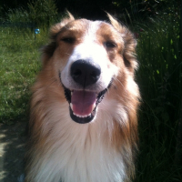 Photo de profil de Happy