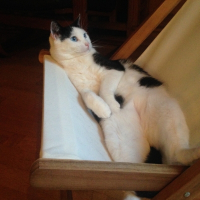 Photo de profil de Soledad