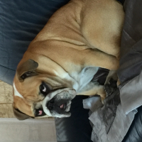 Photo de profil de Luigi