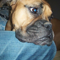 Photo de profil de Aaliyah