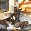 Photo de Figaro
