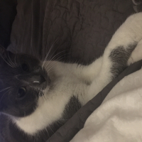 Photo de profil de Woudy