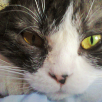 Photo de profil de Haribo