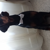 Photo de profil de gwenn