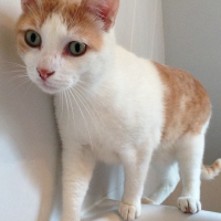 Photo de profil de Picsou