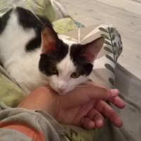 Photo de profil de debiane