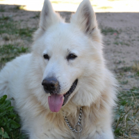 Photo de profil de Alaska