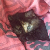 Photo de profil de ruby