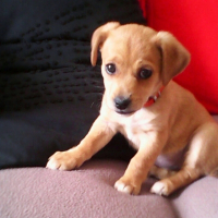 Photo de profil de Coco