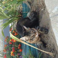 Photo de profil de Lucky 