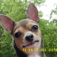 Photo de profil de Héloïse