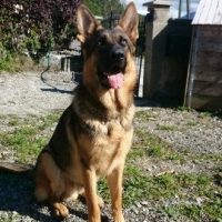 Photo de profil de James du Lac d'Annecy