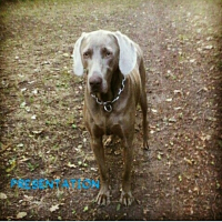 Photo de profil de Happy