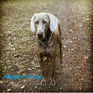 Photo de profil de Happy