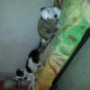 Photo de Bony