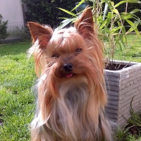 Photo de profil de Hermès