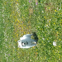 Photo de profil de BO