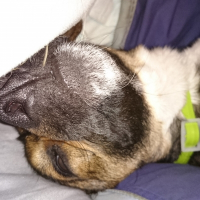 Photo de profil de Woody