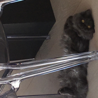 Photo de profil de Liberty 