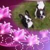 Photo de Lilou 