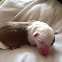 Photo de profil de Junior