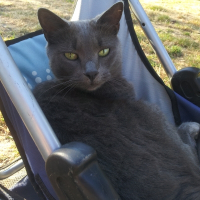 Photo de profil de Milau