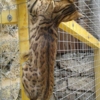 Photo de profil de Jador 