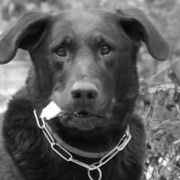 Photo de profil de hulma