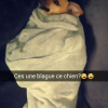 Photo de Noupy 