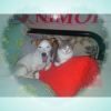 Photo de Chipie