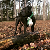 Photo de profil de Malo