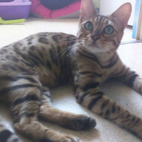 Photo de profil de MissDior