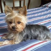Photo de profil de julie