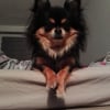 Photo de Bounty