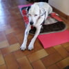 Photo de LADY