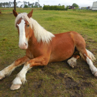 Photo de profil de Filou 135