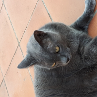 Photo de profil de Clochette