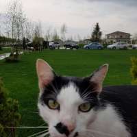Photo de profil de maestro