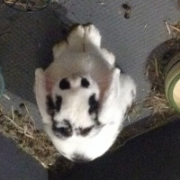 Photo de profil de Lola