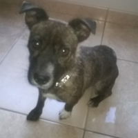 Photo de profil de Rubi