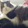 Photo de Ziggy