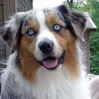 Photo de profil de Max