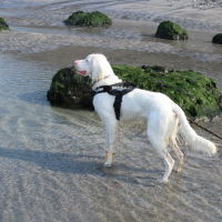 Photo de profil de Scoob